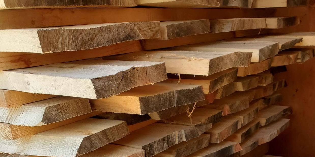 Freshly milled sycamore lumber, stickered and stacked