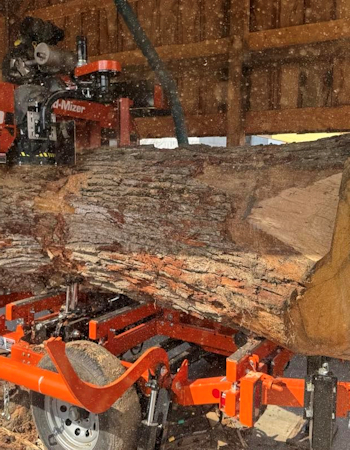 Sawmill cutting large white oakSawmill cutting large white oak